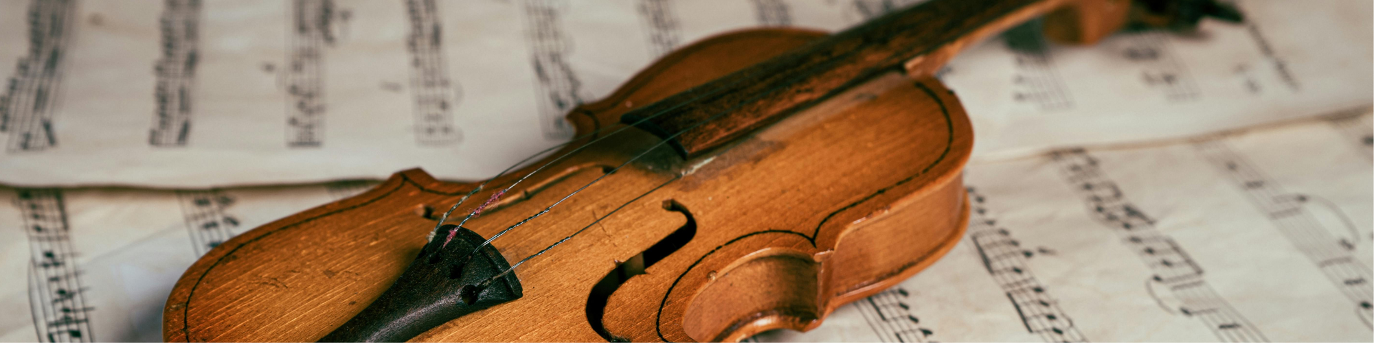 Violin